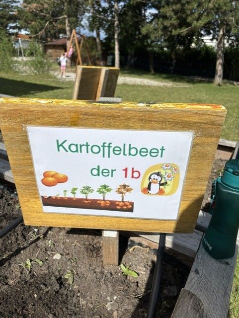 Hochbeet1