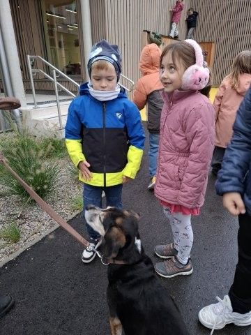 Tierschutztag6