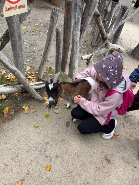 Schoenbrunn2