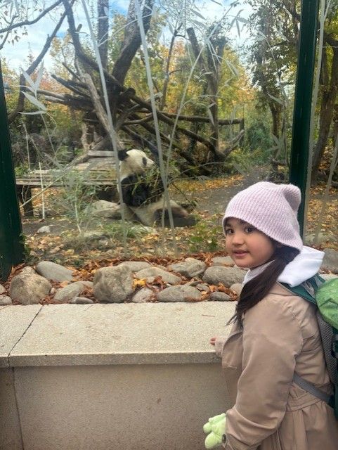 Schoenbrunn5