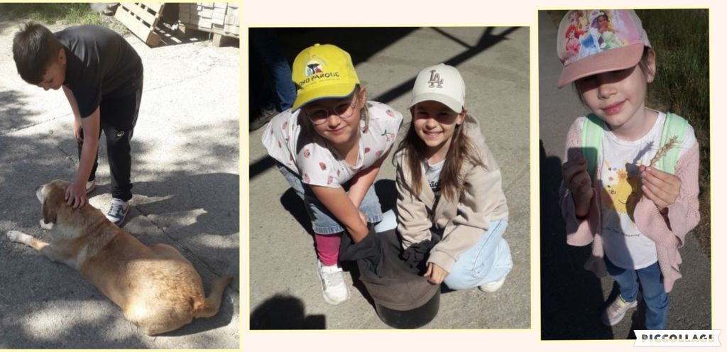 Bauernhof collage5