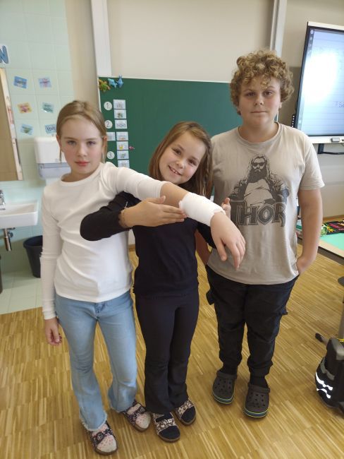 Verband3