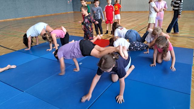 Jiujitsu5