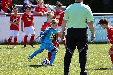 Sumsicup2