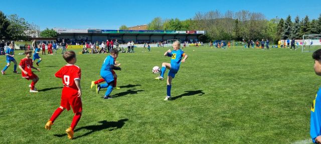 Sumsicup5