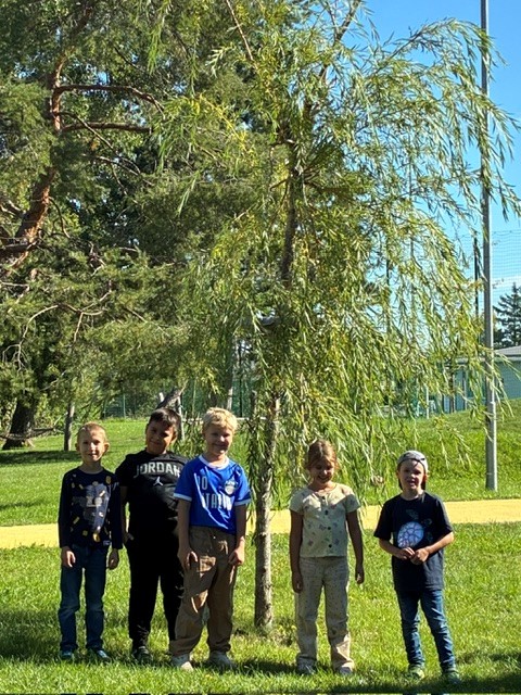 Garten10
